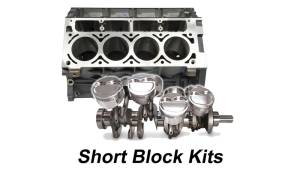 Short Blocks Kits (Unassembled)