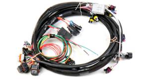 EFI - EFI/ECU Wiring & Accessories