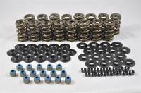 PAC - PAC LS Dual Valve Spring Kit, .625 Lift