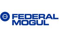 Federal Mogul - Federal Mogul SBC High Perf. Main Bearing Set