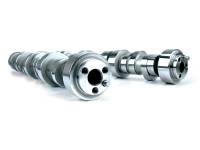 Camshafts / Valvetrain - Camshafts 